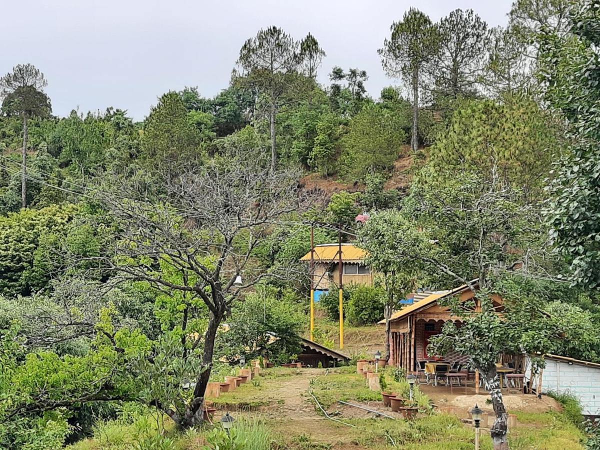 Mukteshwar Grand Retreat Kültér fotó